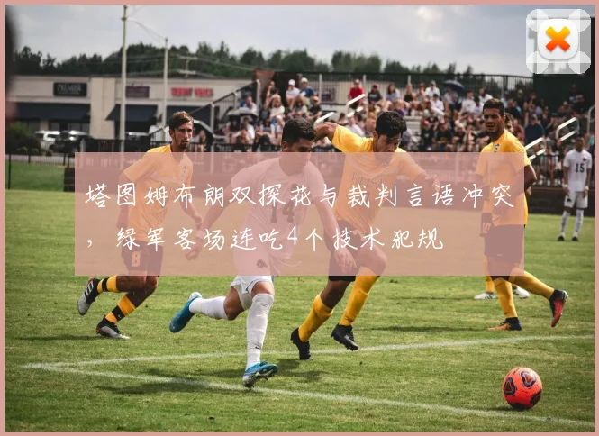 塔图姆布朗双探花与裁判言语冲突，绿军客场连吃4个技术犯规