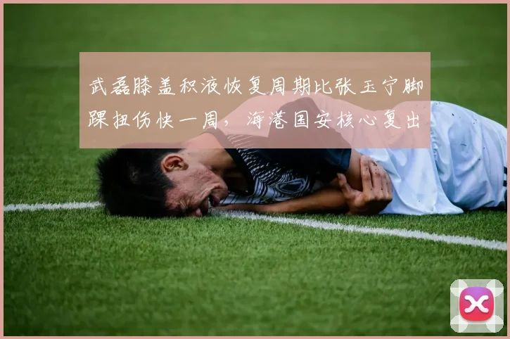武磊膝盖积液恢复周期比张玉宁脚踝扭伤快一周,海港国安核心复出时间错位